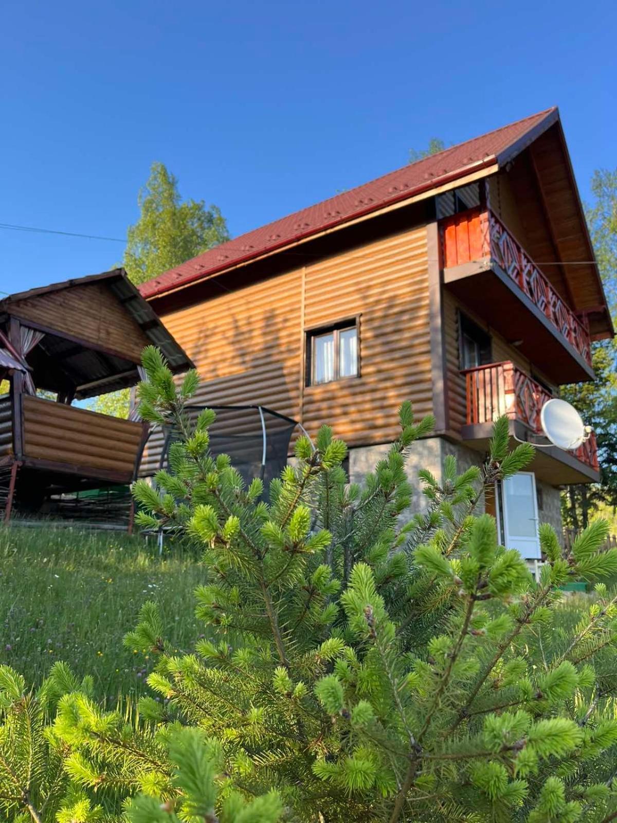 Сімейний Котедж Краєвид Mykulychyn Exterior foto
