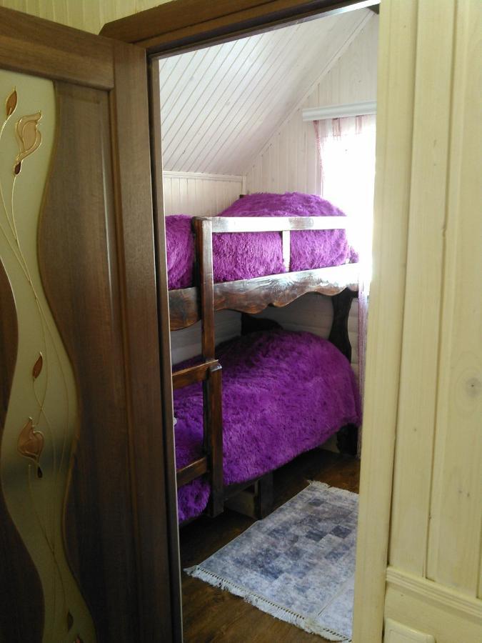 Сімейний Котедж Краєвид Mykulychyn Exterior foto